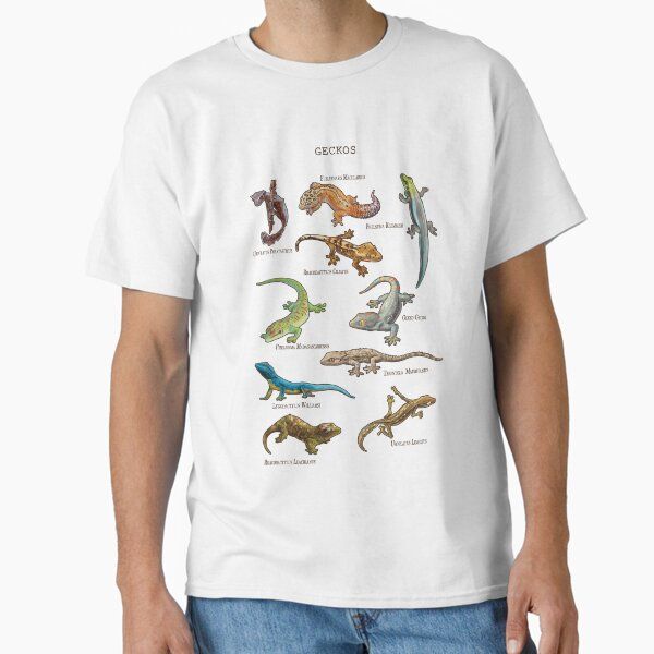 geckos