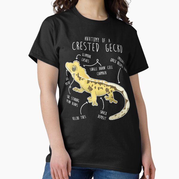 Crested Gecko Lizard Reptile Anatomy
