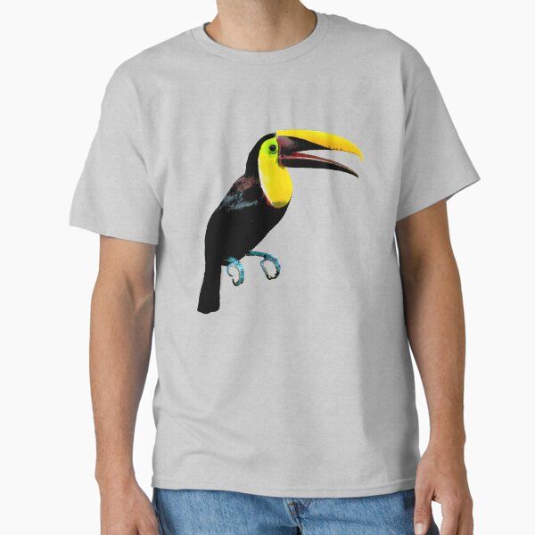 Chestnut Mandibled Toucan